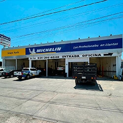 Michelin Grupo Ayala